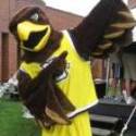 eagle_sm.jpg eagle_sm.jpg
